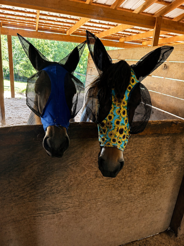 Kelton & Kalusa First Day of Fly Masks