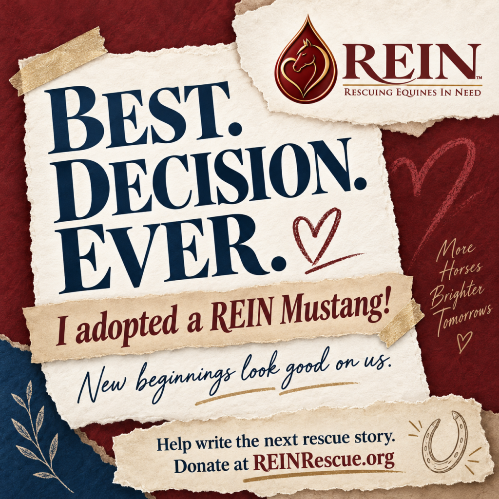 Best Decision Ever I Adopted a REIN Mustang Instagram