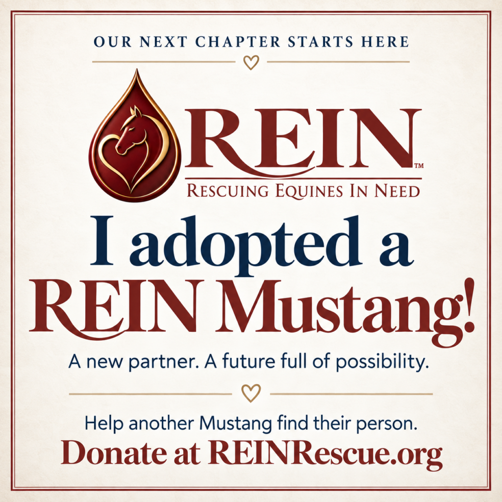 I Adopted a REIN Mustang Instagram